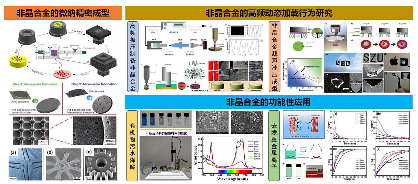 研究领域