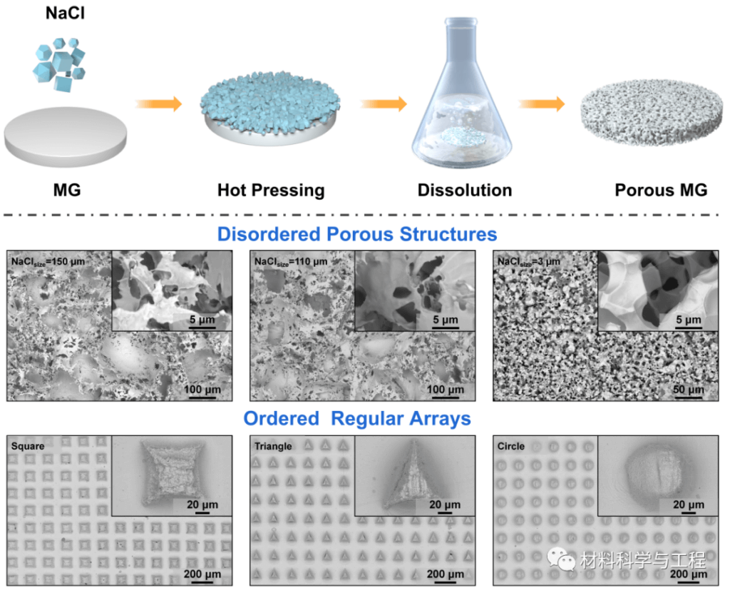 深圳大学《中国科学：材料科学》封面论文！溶解制造多孔金属材料